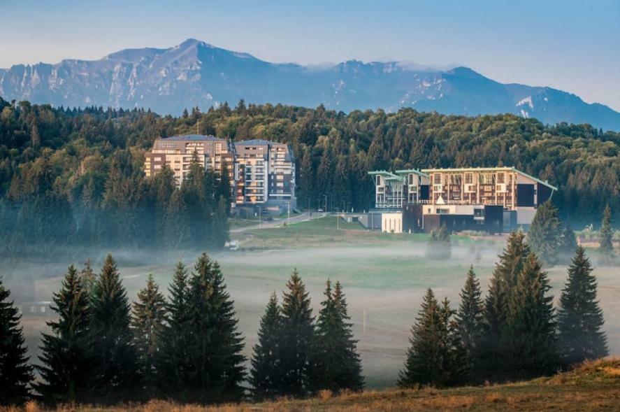 Charming 3-Bedroom Apartment Пояна-Брашов Екстер'єр фото